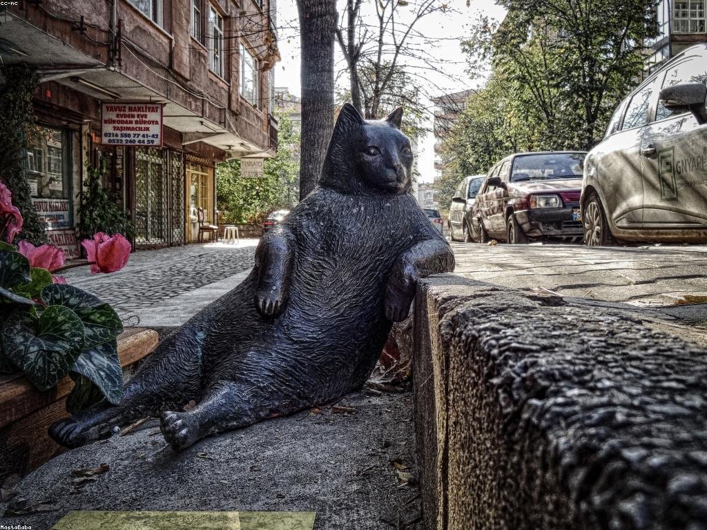 ការយល់ដឹងអំពីអារម្មណ៍នៃអ្នកប្រយុទ្ធ